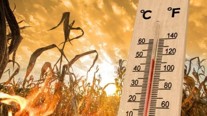 Prognoza meteo
