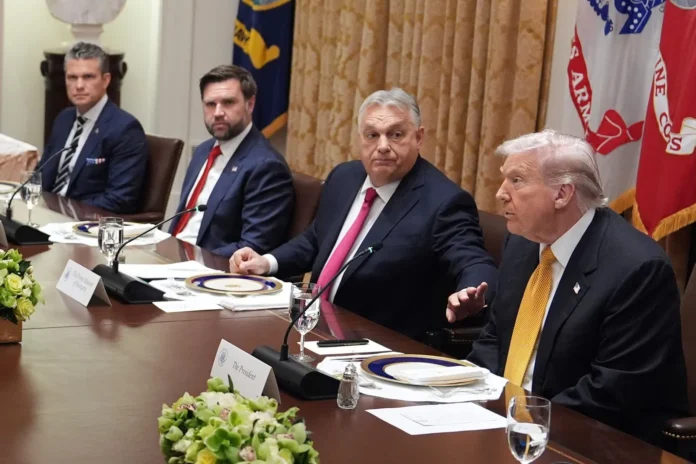 trump- Donald Trump