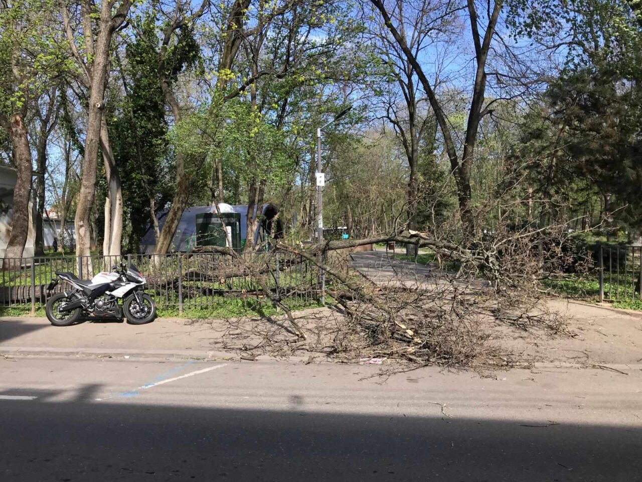 despăgubiri