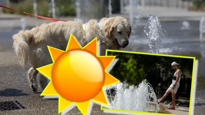 8-14 Prognoza meteo 16 august 2026. Revine canicula! Unde va ploua în orele următoare