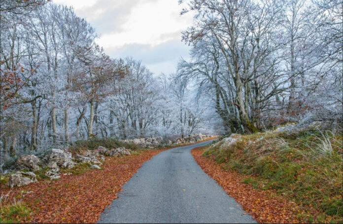 toamna- Prognoza meteo, 22 octombrie. Temperaturile scad semnificativ